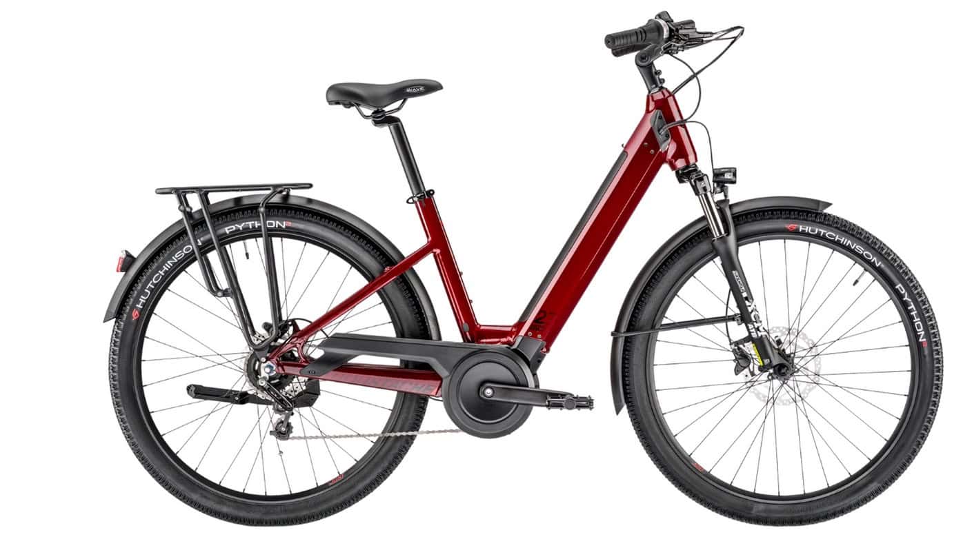 Moustache - Xroad 2 Open Nexus - 2023 - Medium