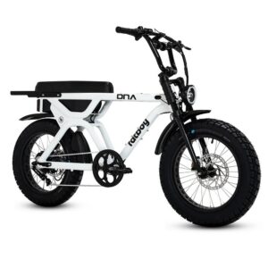 Fatboy - The DNA V3 eBike - White Noise